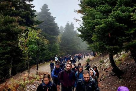 Διάσχιση Ξηροβουνίου Ευβοίας! Διάσελο Δίρφυος - Κορυφή Ξηροβουνίου 1412μ - Άνω Σέττα!
