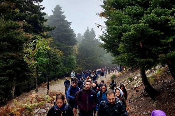 Διάσχιση Ξηροβουνίου Ευβοίας! Διάσελο Δίρφυος - Κορυφή Ξηροβουνίου 1412μ - Άνω Σέττα!